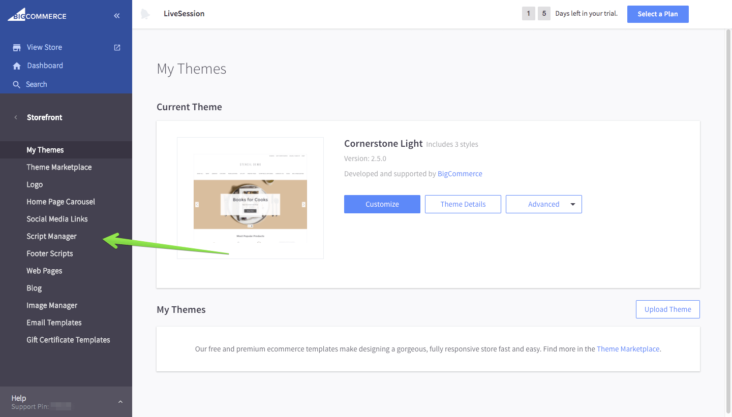 Open Script manager BigCommmerce integration