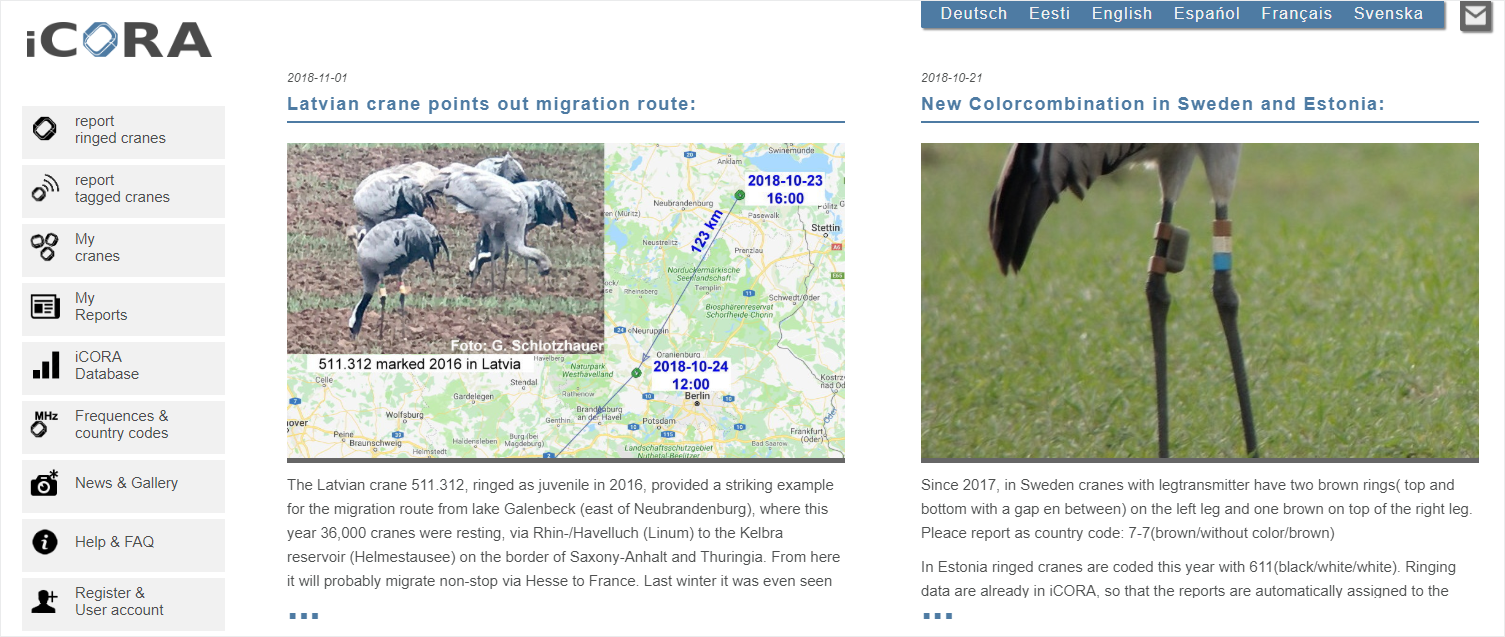 iCORA example An example of transactional symmetry in web design.