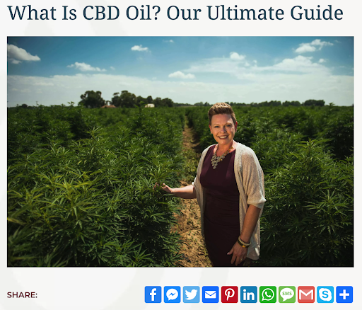 What is CBD Oil? Our Ultimate Guide example of lead