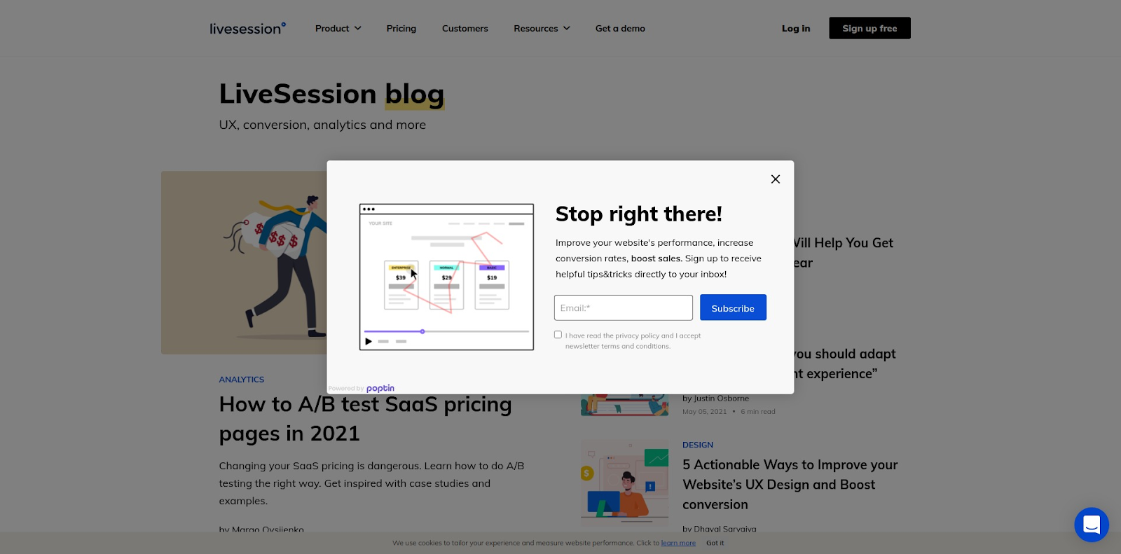 Static Opt-In Form LiveSession Blog - screenshot - popup